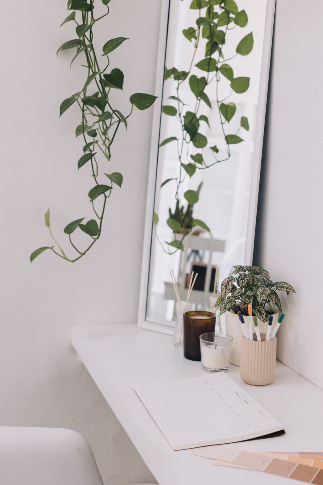 Minimalist Workspace with Houseplants