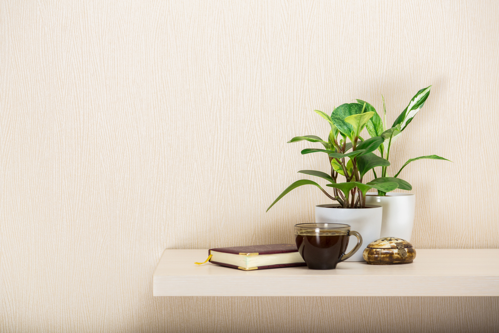Journal, Cup of Coffee and Potted Plants